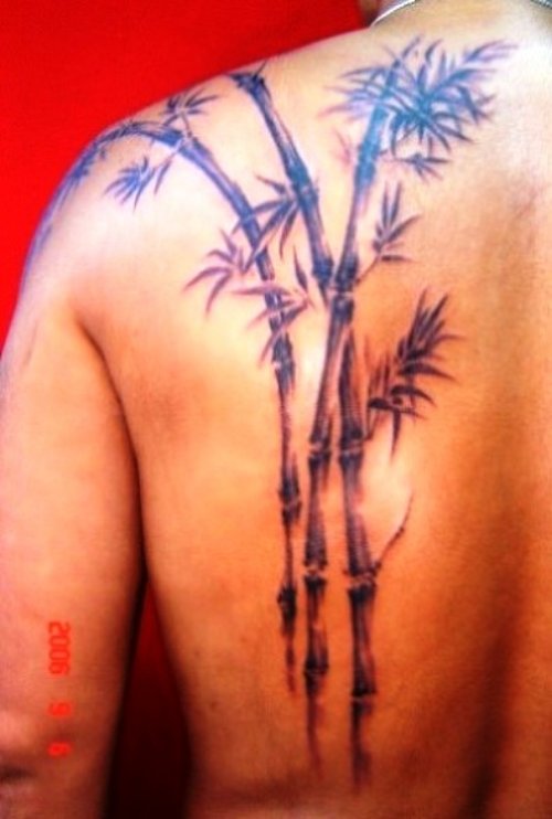 Man Left Back Shoulder Bamboo Tree Tattoo